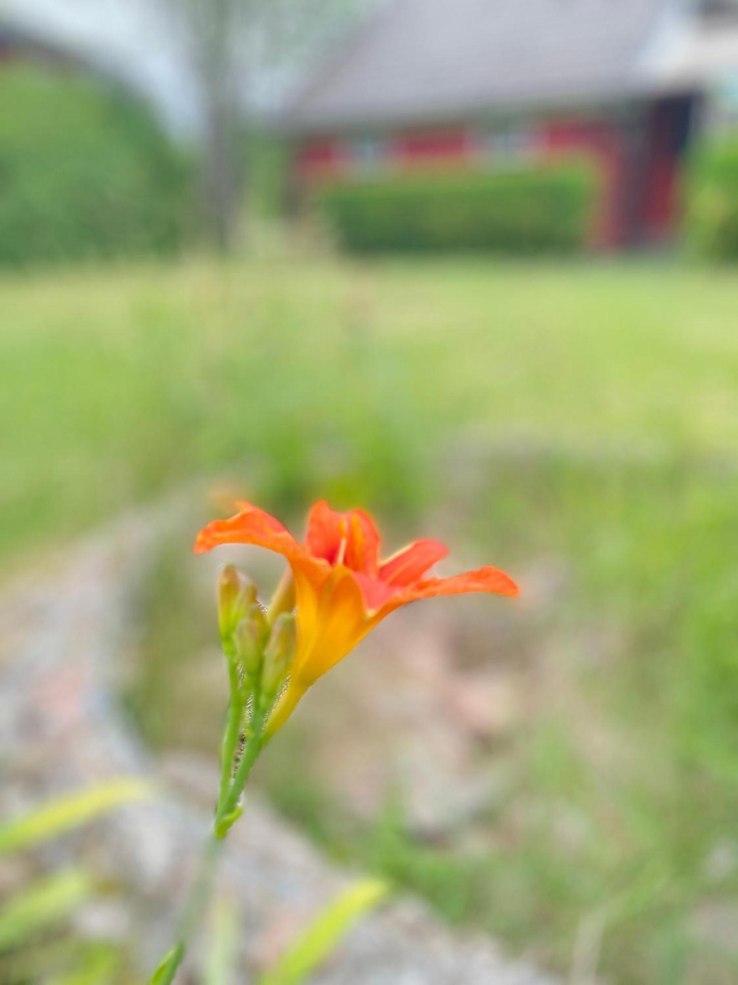 Lilla Roeda Huset. Villa Sjotofta Eksteriør bilde